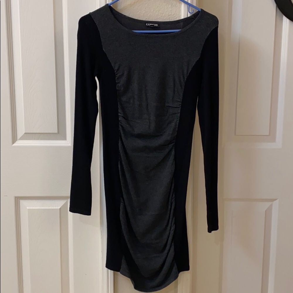 EXPRESS Long Sleeved Fitted Dress